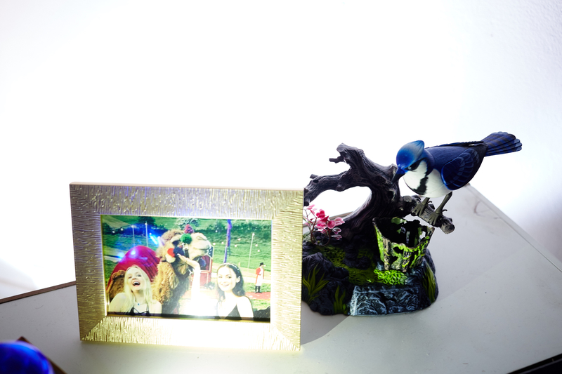 Unwelcome Collection at Peak